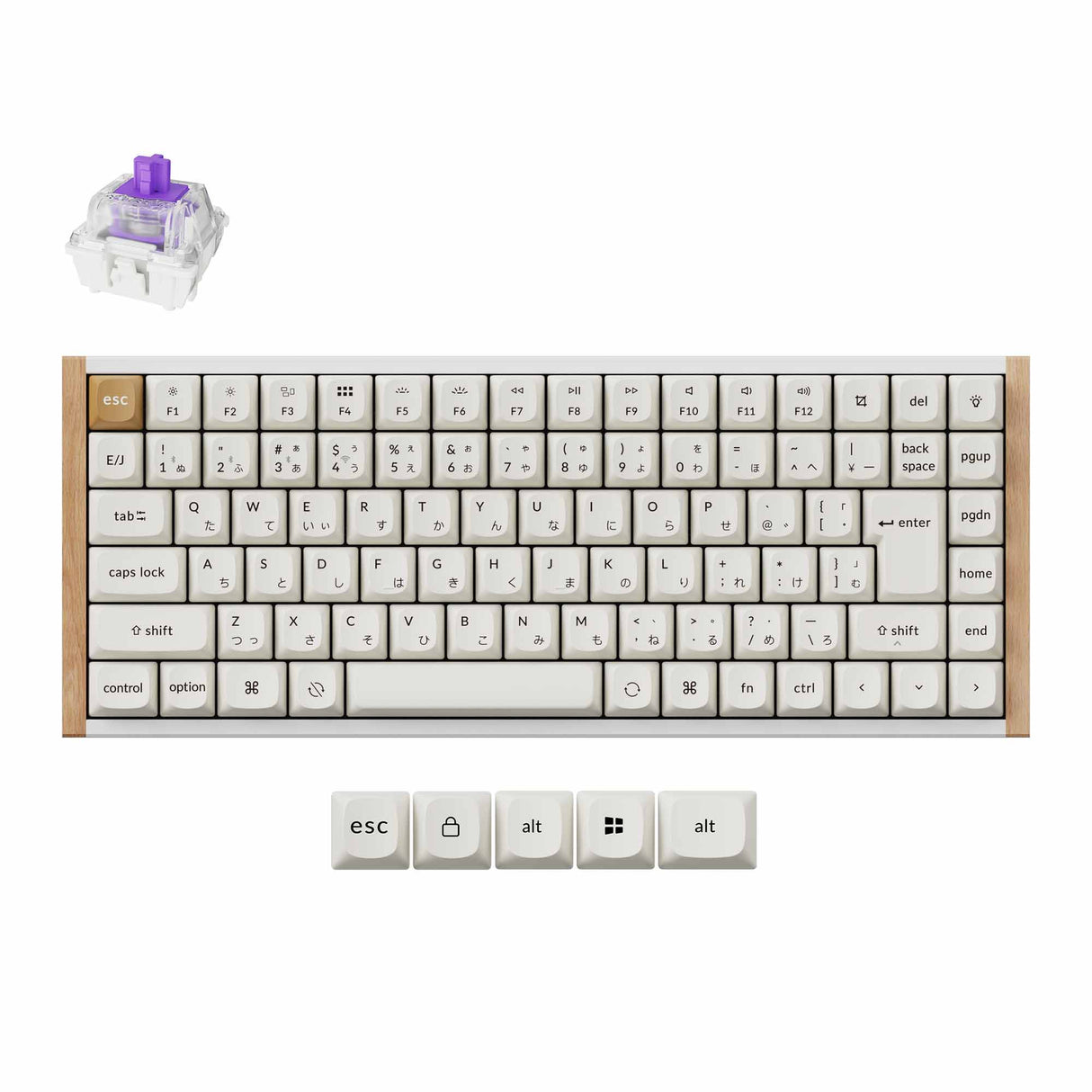 Keychron K2 HE 75 Percent Layout Wireless Magnetic Switch Custom Keyboard Special Edition Wooden White RGB Backlight Double-Shot PBT Keycaps-White-Layout