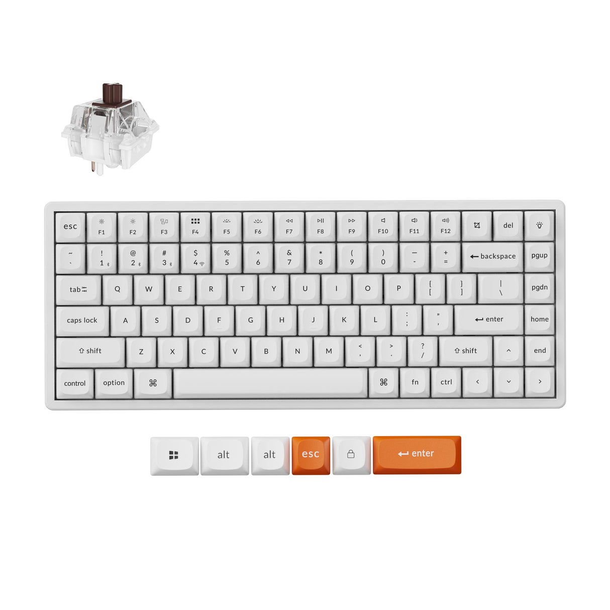 Keychron K2 Max QMK Wireless Custom Mechanical Keyboard RGB Backlight 75% Layout Fully Assembled for Mac Windows Linux Hot Swappable Keychron Super Brown